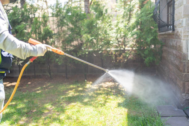 Best Pest Removal Services  in Sunset, UT